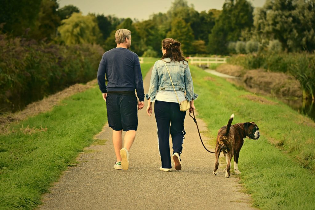 couple walking - distant